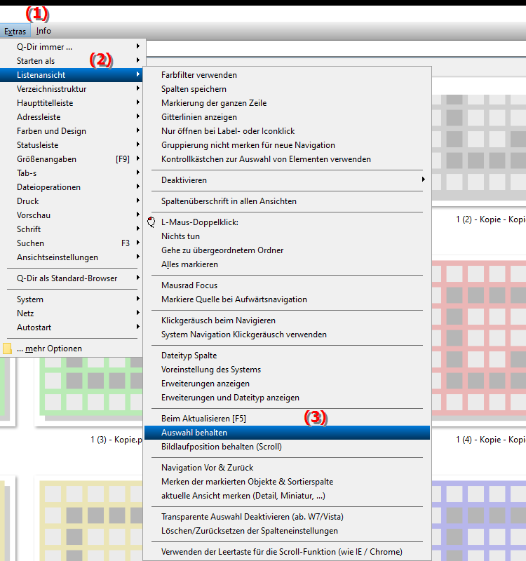 Gibt es im Datei Explorer eine Option zum Beibehalten der Auswahl